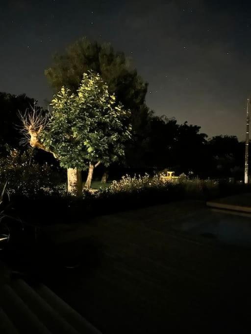 Villa Des Jacinthes ตาฮาสคอง ภายนอก รูปภาพ